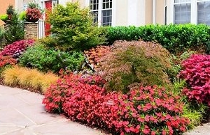 Fairview Garden Concepts of Nashville