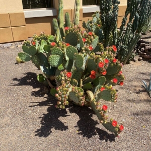 Photo of Az 101 Insurance