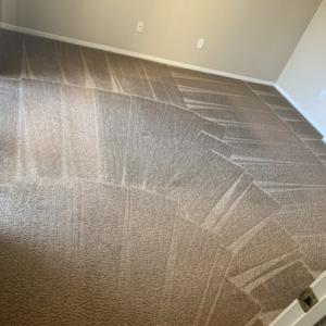 Photo of Mann's Carpet Cleaning