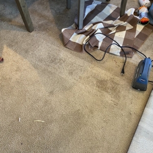 Photo of Mann's Carpet Cleaning