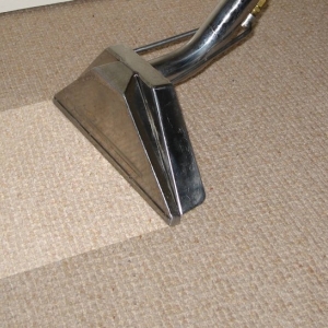 Photo of Elite Professional Carpet & Upholstery Cleaners