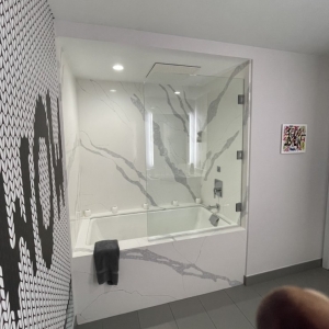 Photo of TimeLine Frameless Glass Shower Doors