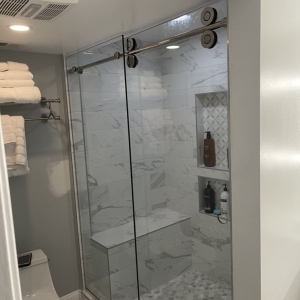 Photo of TimeLine Frameless Glass Shower Doors