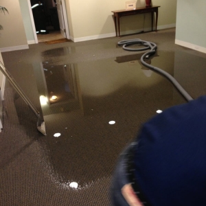 Photo of New England Carpet & Upholstery Cleaning