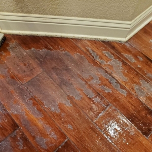 Hurst Above The Rest Carpet Cleaning