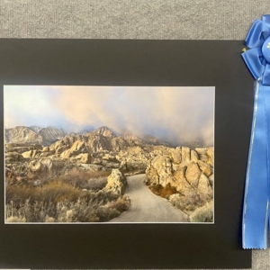 Photo of Giant Photo Service