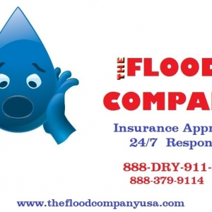 Elmwood Park The Flood Company