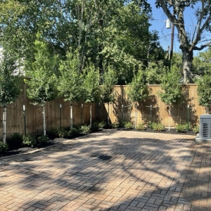 Photo of Meme Landscaping
