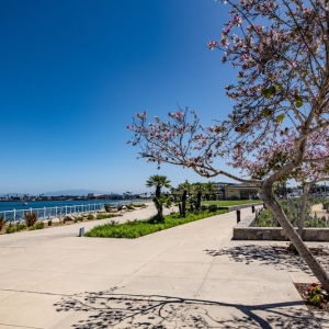 Photo of Coronado Community Center