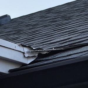 Photo of Mr. Roof
