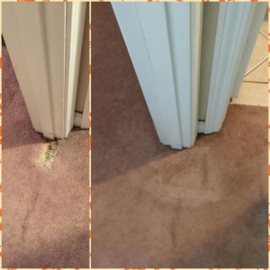 Photo of Midwest Pro Cleaning