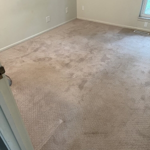 Photo of Midwest Pro Cleaning