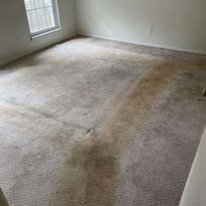 Photo of Midwest Pro Cleaning
