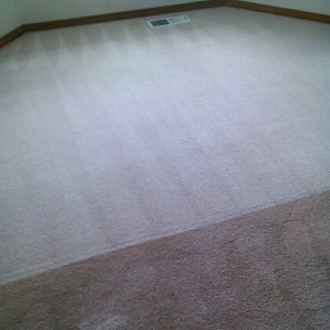 Photo of L&L Carpet Care