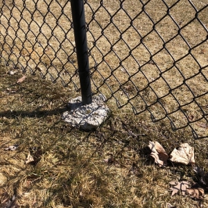 Photo of German Quality Fencing