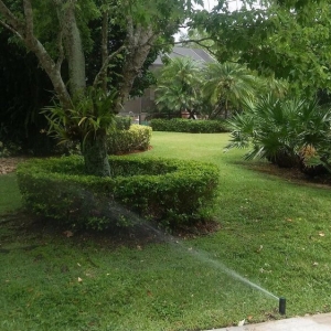 Miami Greensandigo Landscaping