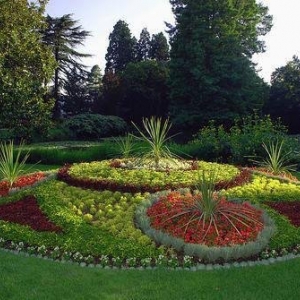 Photo of Greensandigo Landscaping