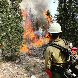 Photo of Pelican Wildfire Consulting
