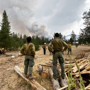 Photo of Pelican Wildfire Consulting