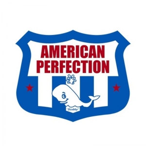 Photo of American Perfection Basement Waterproofing
