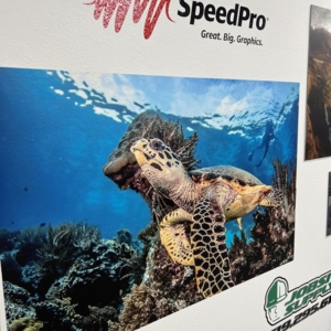 Photo of SpeedPro San Diego