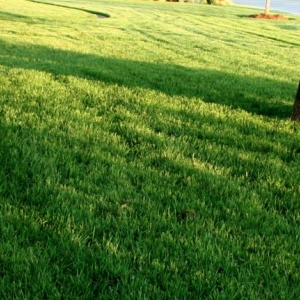 Photo of Hall Stewart Lawn and Landscape