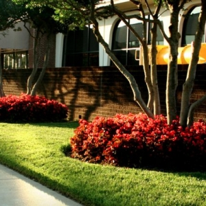 Photo of Hall Stewart Lawn and Landscape