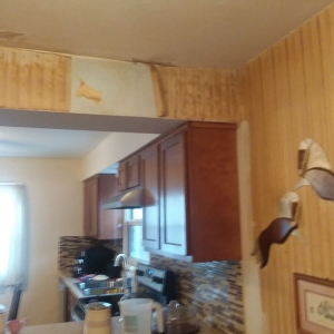 Photo of Steven Cannon Elite Services And Mold Remediation