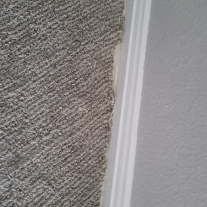 Photo of Chase Floors 2U