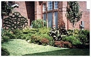 Photo of Advance Landscape Designs