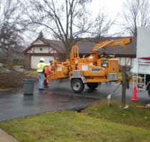 Photo of Crystal Oak Tree Service