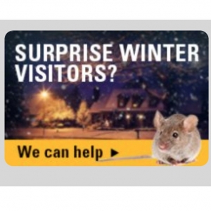 Photo of Critter Control
