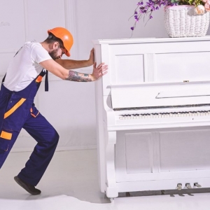Photo of Imperial Kings Moving