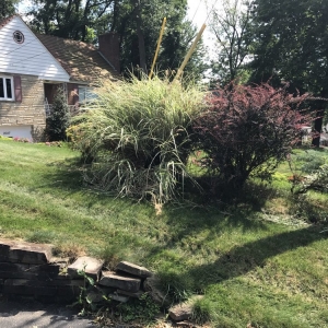 Photo of A & S Landscaping