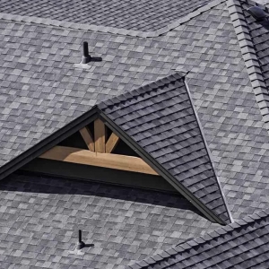 Photo of Texas Roofing & Gutters