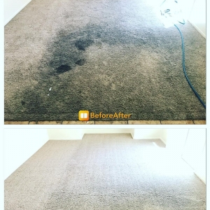 Photo of Vickman Family Floor Care