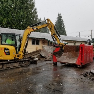 Pacheco Big Dog Demolition
