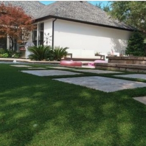 Photo of Green City Landscape and Lawn Care