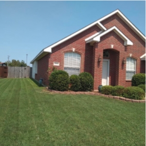 Photo of Green City Landscape and Lawn Care