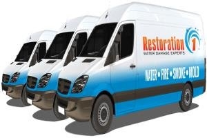 Photo of Restoration 1