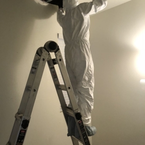 Photo of Restoration 1