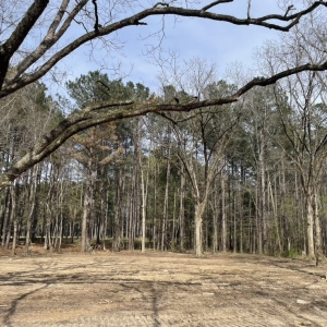 Photo of Solid Ground Dirt