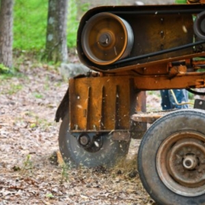 Photo of C&B Tree Service & Lawn Care