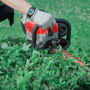 Photo of C&B Tree Service & Lawn Care