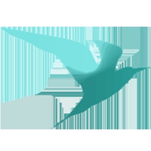 Photo of Flying Start Media, Inc.