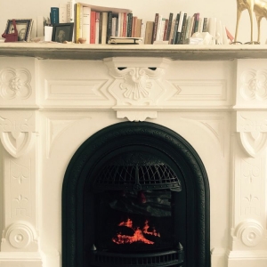Photo of Fireplace Safety Services