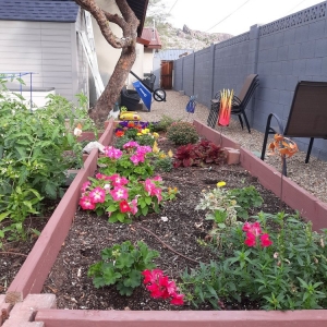 Photo of Serenity Yard Care