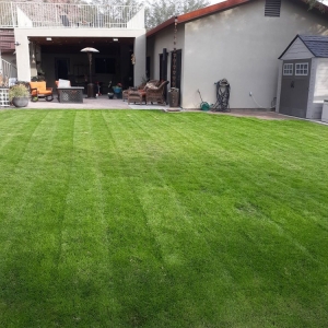 Photo of Serenity Yard Care