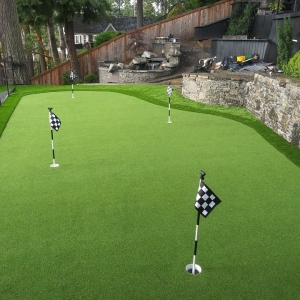 Photo of Turf Solutions PDX