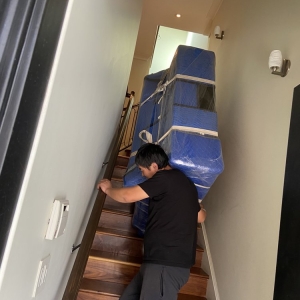 Photo of iMoving Professional Moving System